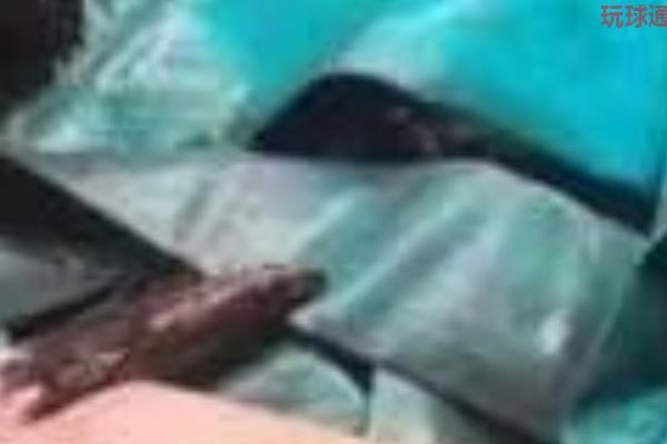 小伙在西港意外死亡,家属频繁接到贷款催收电话? 小伙在西港意外死亡,家属频繁接到贷款催收电话?