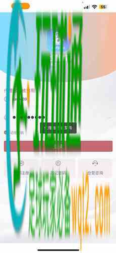 IMAGE 2026-01-29 04:56:08