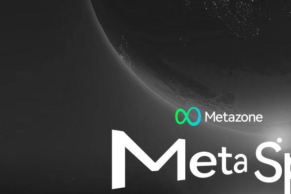 Metaspeed是什么？有什么作用？