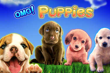 Omg puppies 游戏封面