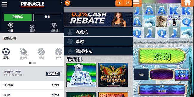 使用平博获得最佳赔率