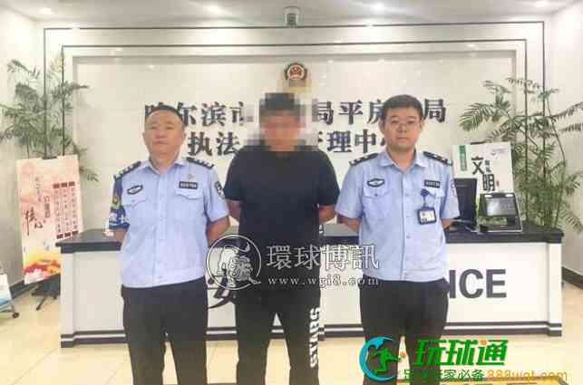 柬埔寨诈骗团伙骨干成员迟某龙被抓 柬埔寨诈骗团伙骨干成员迟某龙被抓