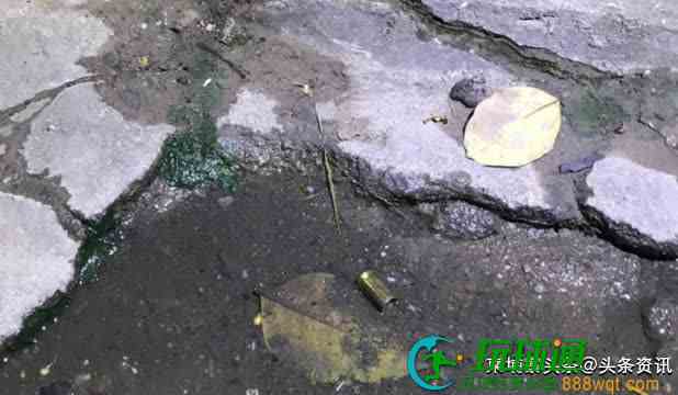 金边男子在街上乱开枪后逃逸,警方在搜捕中!